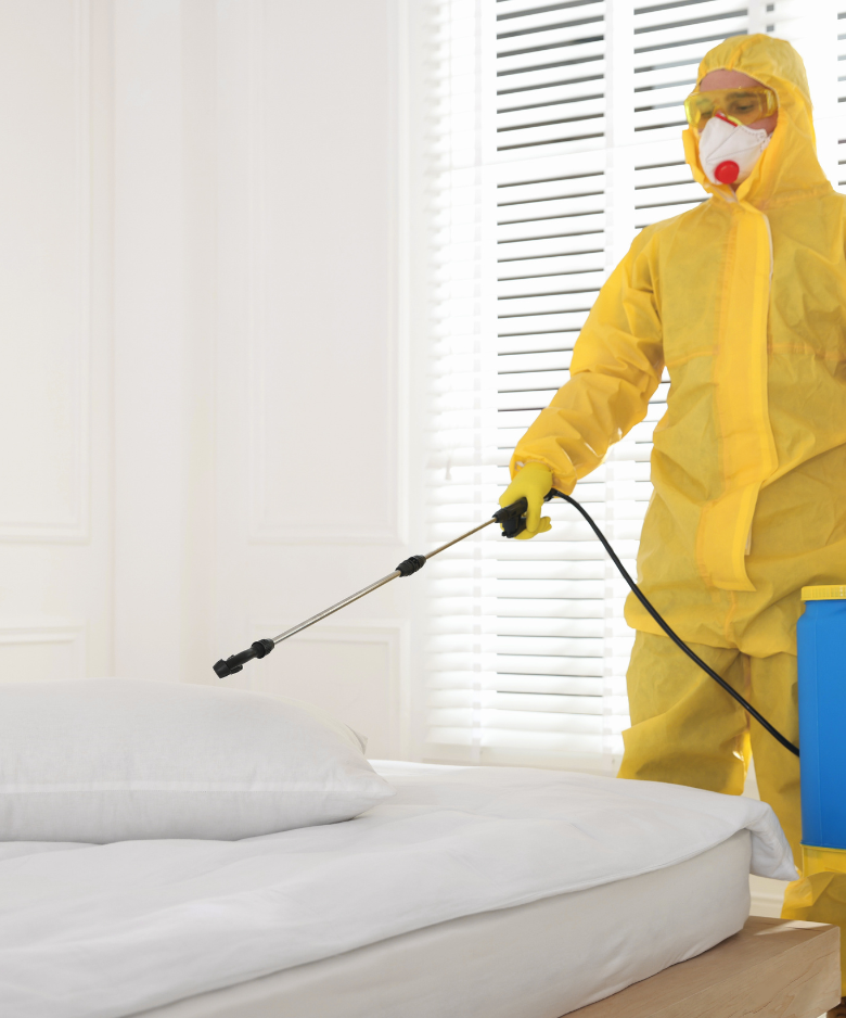 Professional Pest Control Team in Munno Para West